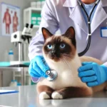 Os 10 Principais Problemas de Saúde em Gatos e Como Preveni-los